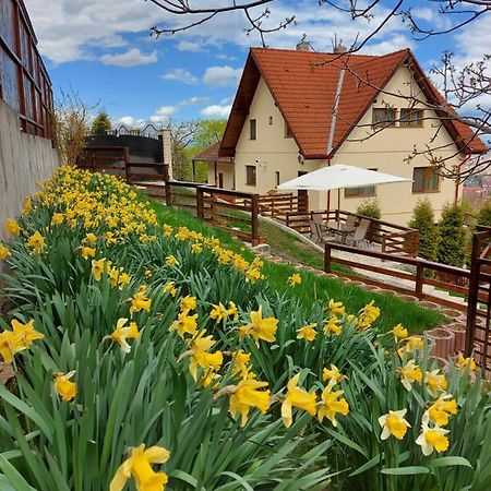 Apartament Matei Brasov Exterior photo