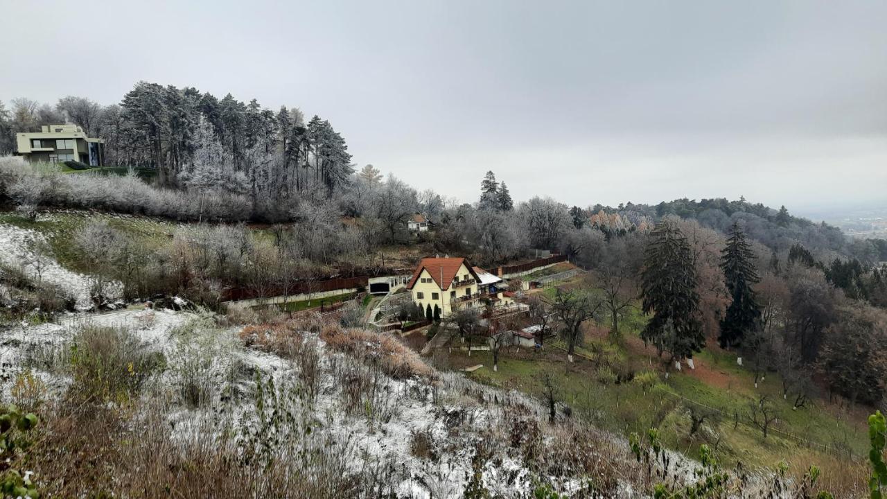 Apartament Matei Brasov Exterior photo
